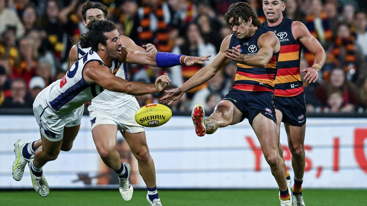 Fremantle Dockers survive almighty scare to defeat Adelaide by two points after late comeback