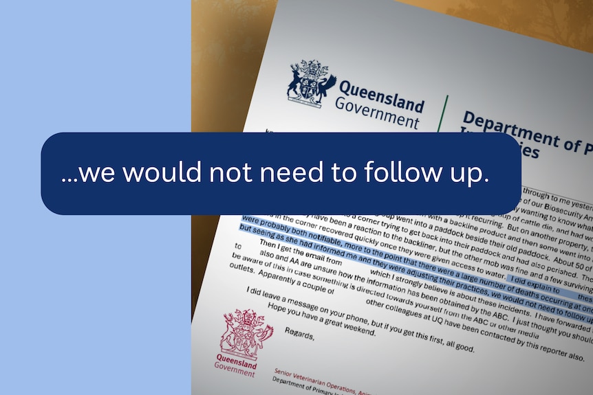 A graphic reads "... we would not need to follow up" as a quote pulled out from a letter in the background.
