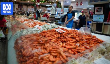 Claims only 'the rich' will soon be able to afford sustainably wild-caught Australian seafood