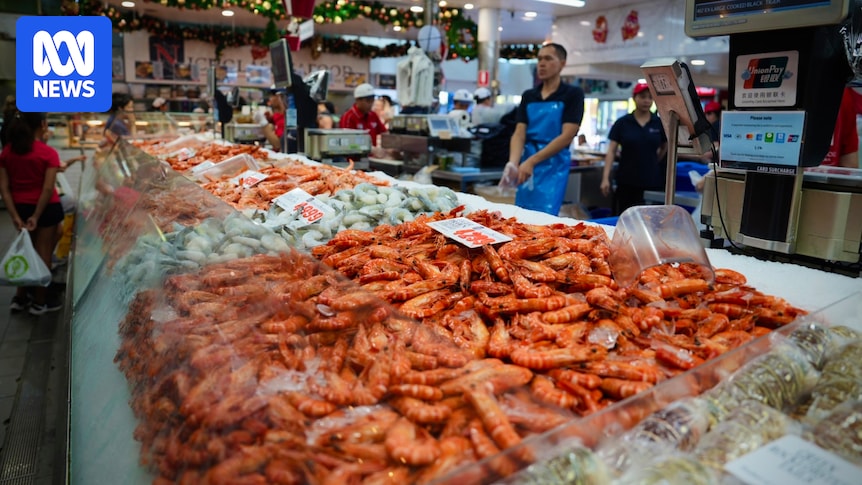 Claims only 'the rich' will soon be able to afford sustainably wild-caught Australian seafood