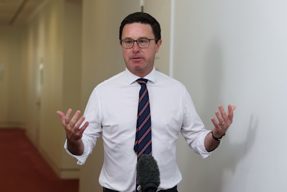 Nationals MP David Littleproud.