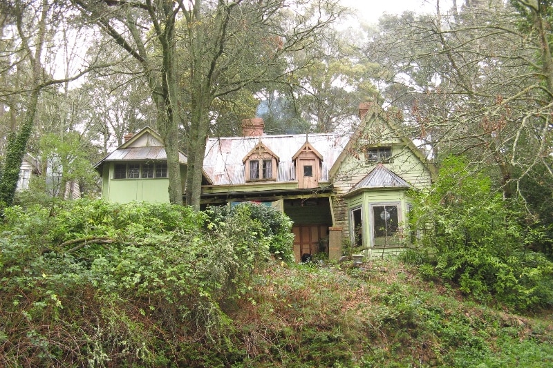 A glimpse of a green, two-storey house can be seen behind vegetation.