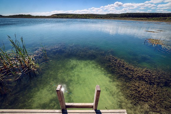 A section of the Ramsar-listed area in question.
