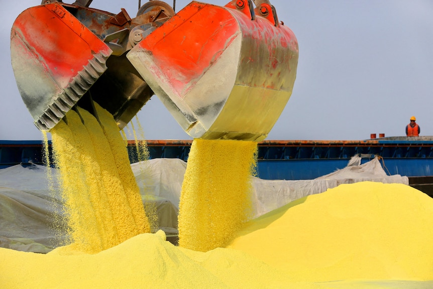 Sulphur being dumped into a collection bin in a port 