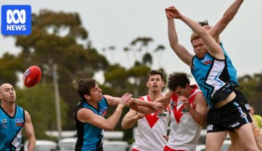 Tigers, Eagles or Cockle Divers — what makes up an Australian Rules football club's name?