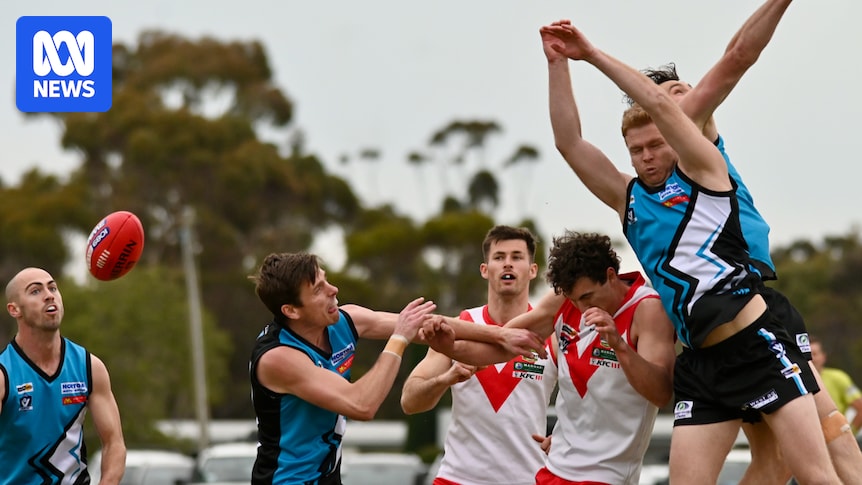 Tigers, Eagles or Cockle Divers — what makes up an Australian Rules football club's name?