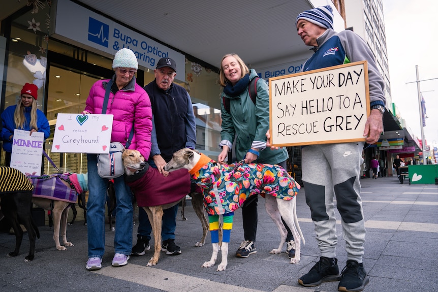 five people with greyhounds hold placards with anti-greyhound racing slogans