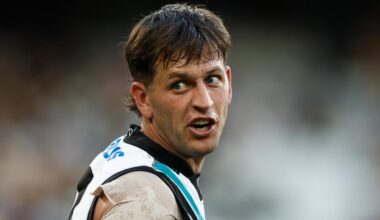 Leigh Matthews doubt over Zak Butters price tag, Geelong Cats, Western Bulldogs, draft changes