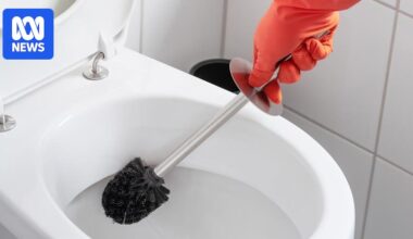 How often should you change your toilet brush?