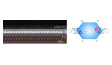 Lightweight Element Yields Unusual Superconductivity