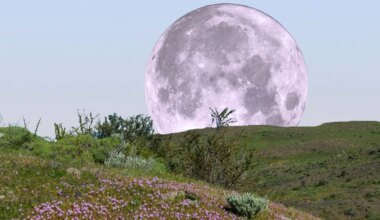A Full Pink Moon Is Rising Tonight In Australia—Here’s When It Will Glow Brightest - marieclaire.com.au