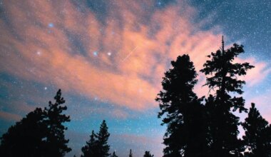 When & Where To See Australia’s Lyrid Meteor Shower Tonight