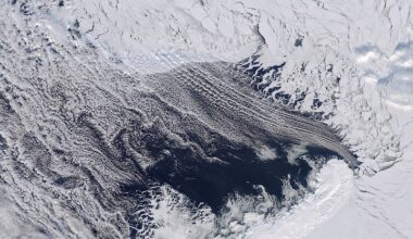 Barents Sea Tied to Low Arctic Sea Ice