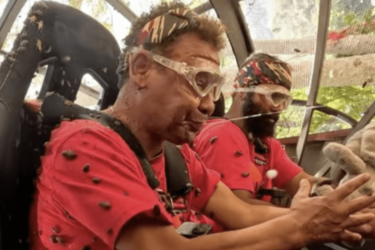 Craig Charles and David Haye