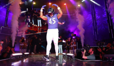 Baltimore Ravens logo