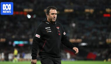 Essendon Bombers coach Brad Scott adamant club is not rebuilding despite losing streak