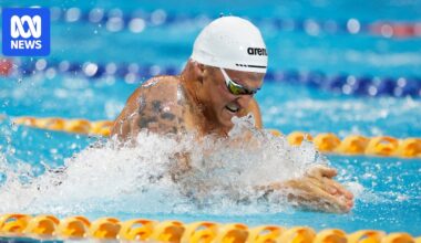 Sam Williamson, Mollie O'Callaghan, Kaylee McKeown, Lani Pallister, Sam Short claim wins at Australian Open swimming championships