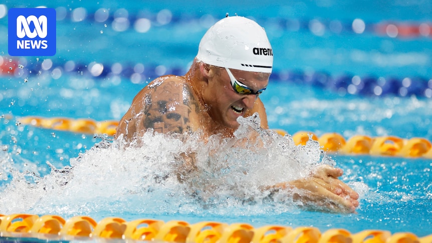 Sam Williamson, Mollie O'Callaghan, Kaylee McKeown, Lani Pallister, Sam Short claim wins at Australian Open swimming championships