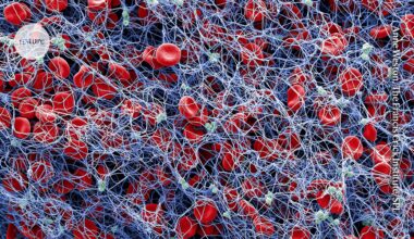 Synthetic blood clots snap cells together to staunch bleeding — fast