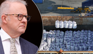 Critical industry 'in the firing line' as new deal highlights Australia's economic vulnerability
