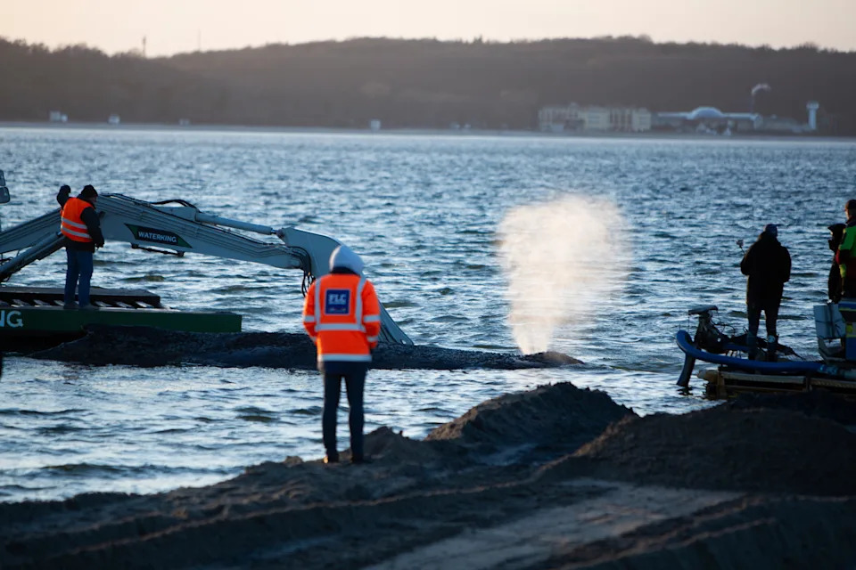 Crews on the edge of the Baltic Sea using earth-moving equipment to try and free the whale.