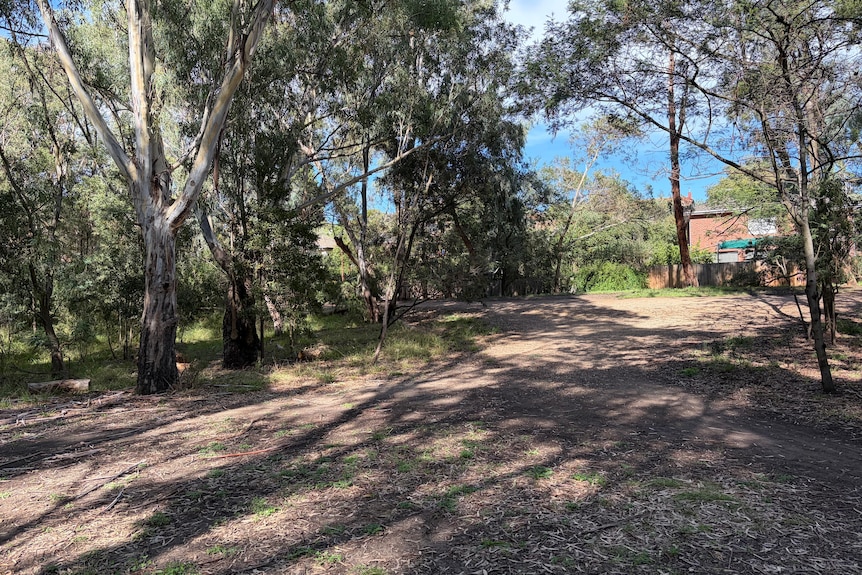 An area of parkland.