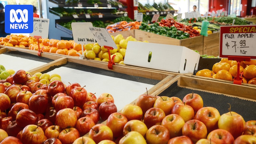 Seasonal produce for all your autumn soups, roasts and salads