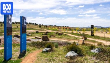 Teenager dies after crashing bike at Canberra's Stromlo Forest Park