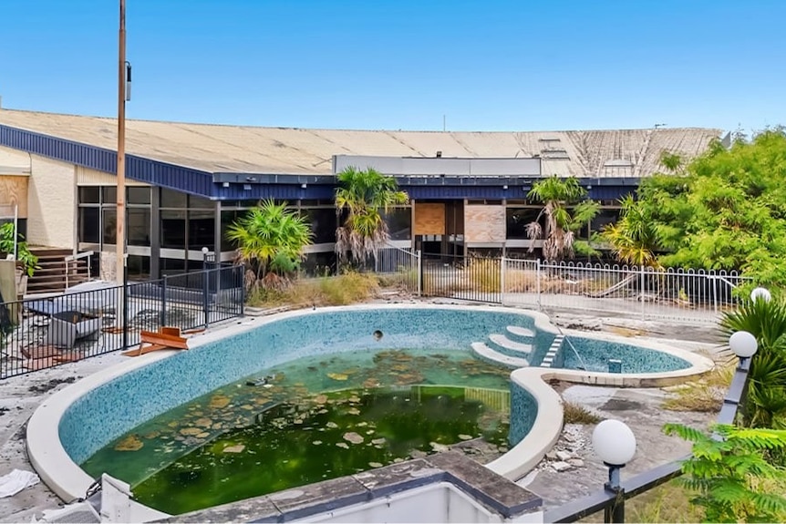 An overgrown garden next to a filthy pool at an abandoned hotel.