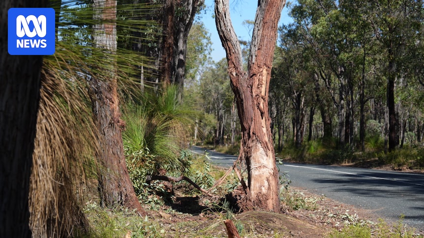 Three dead after car hits tree in Perth Hills - Australian Broadcasting Corporation