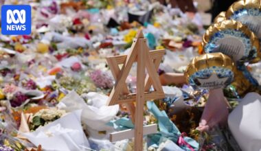 Royal Commission on Antisemitism and Social Cohesion interim report delivers 14 recommendations