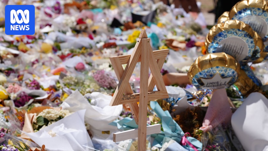 Royal Commission on Antisemitism and Social Cohesion interim report delivers 14 recommendations