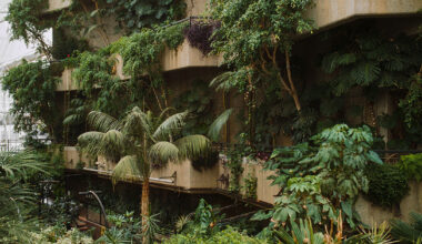 david altrath documents london's barbican conservatory