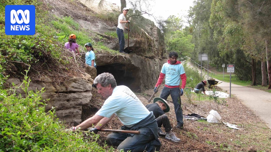 The 'mudcrabs' volunteering to remediate Sydney's Cooks River from toxic pollution