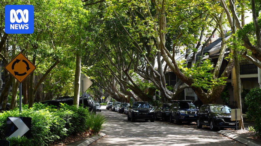 Tree proximity to property may hurt sale price, analysis in Australia's biggest city shows