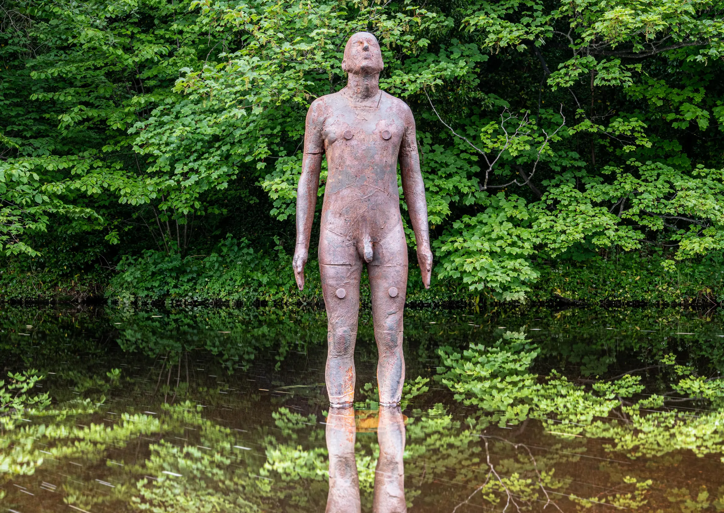 Antony Gormley's "6 Times Ground" sculpture, a life-size figure, standing in the Water of Leith, with its reflection in the water, surrounded by green trees.