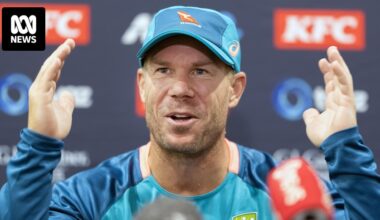 Former Australian Test cricketer David Warner facing drink driving charges in Sydney