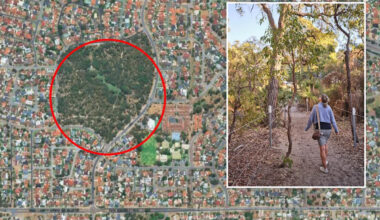 Residents fight back as council threatens new dog ban in Aussie suburbs: 'Silly rule'