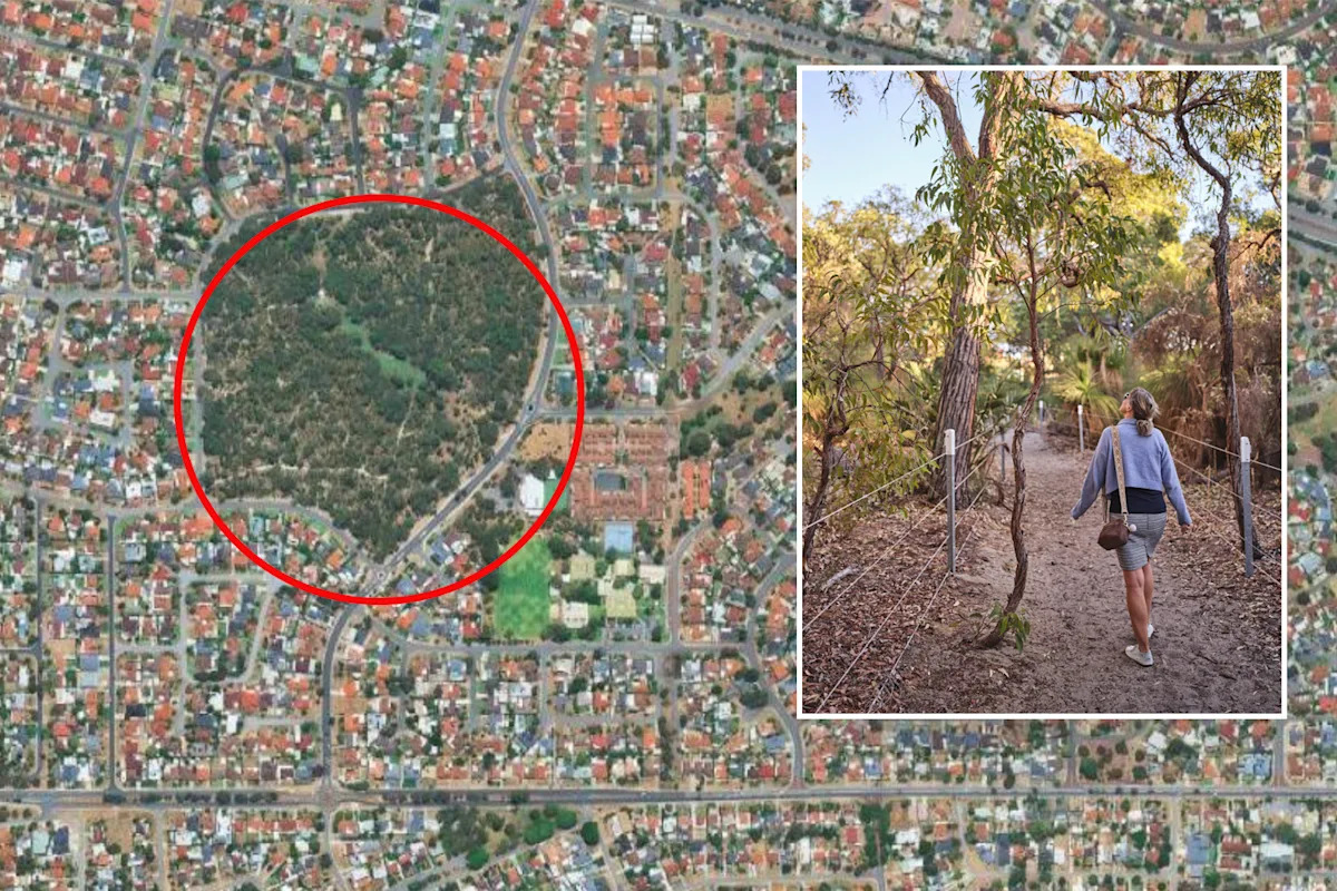 Residents fight back as council threatens new dog ban in Aussie suburbs: 'Silly rule'