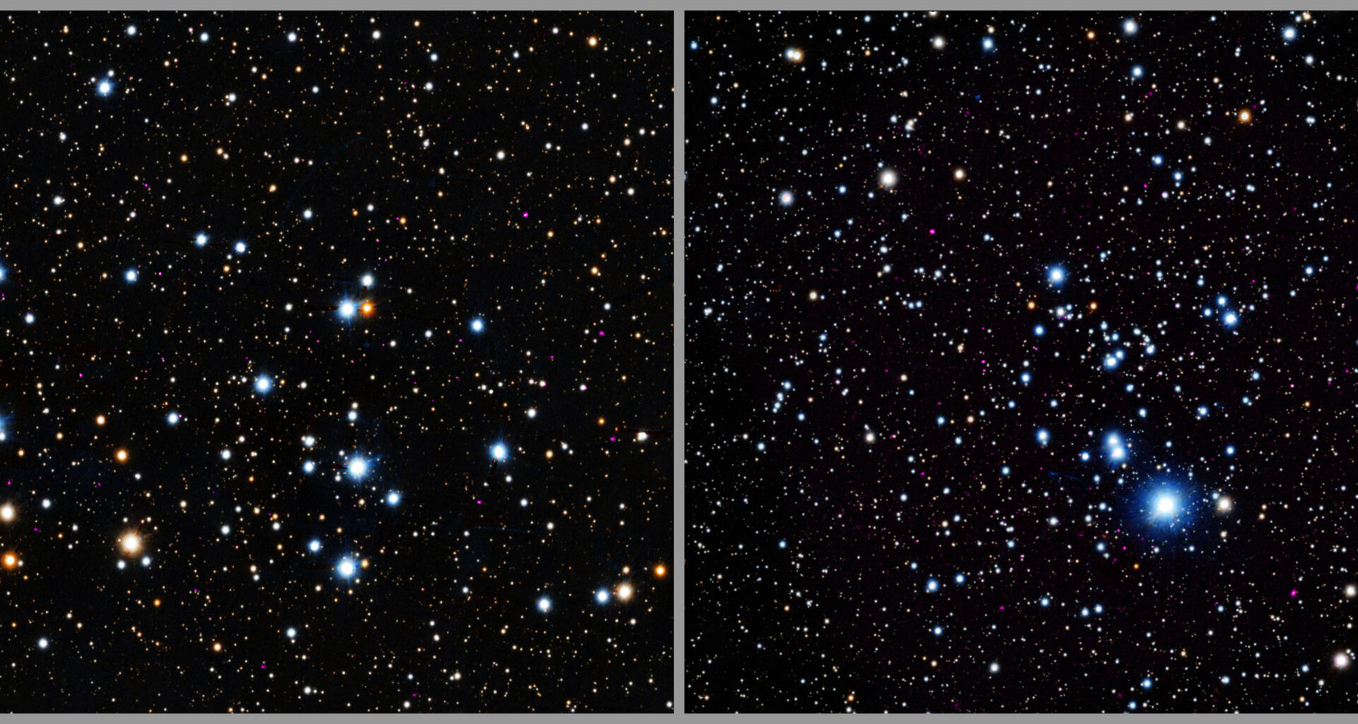 The images of Trumpler 3 and NGC 2353 are open clusters that contains hundreds of young stars that are gravitationally bound together because they formed from the same gas cloud. In this composite image of the clusters, X-rays from Chandra (purple) have been combined with an optical image from the PanSTARRS telescope in Hawaii (red, green, and blue). The stars look like fuzzy dots of different sizes dotting the darkness of space.