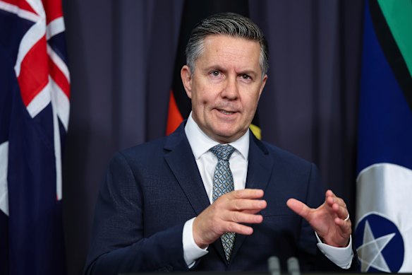 Labor frontbencher Mark Butler says the IS brides will be met with “the full force of law” at the Australian border.