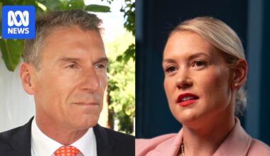 One Nation leaves SA Liberals clinging to opposition status