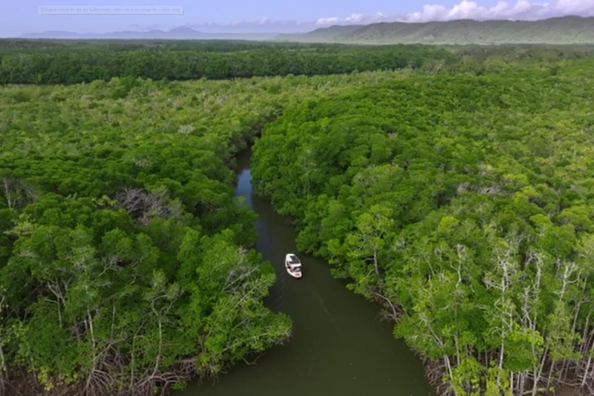 An aerial image of a boat on a river winding through rainforest