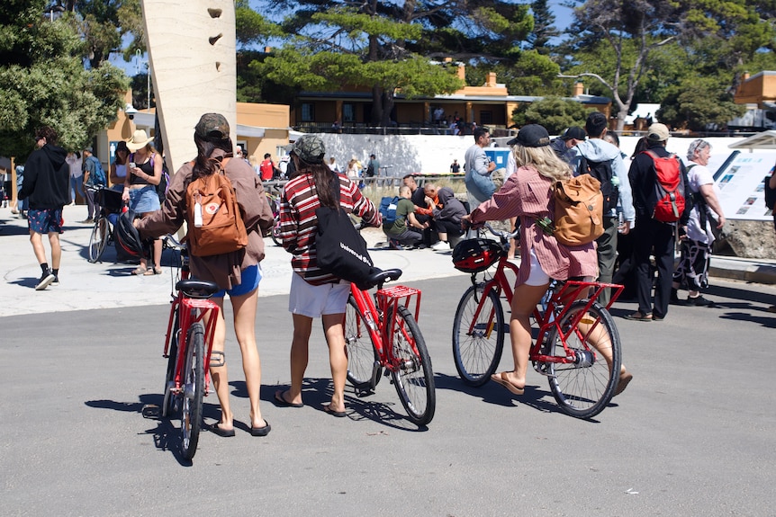 Ferries at a ferry terminal in Rottnest.