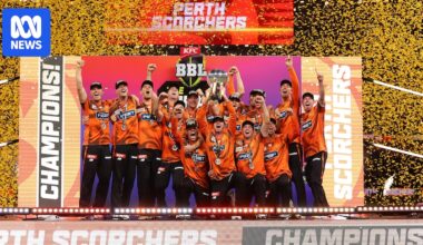 States to reveal if they support privatisation of Big Bash League clubs, with possible IPL part-ownership