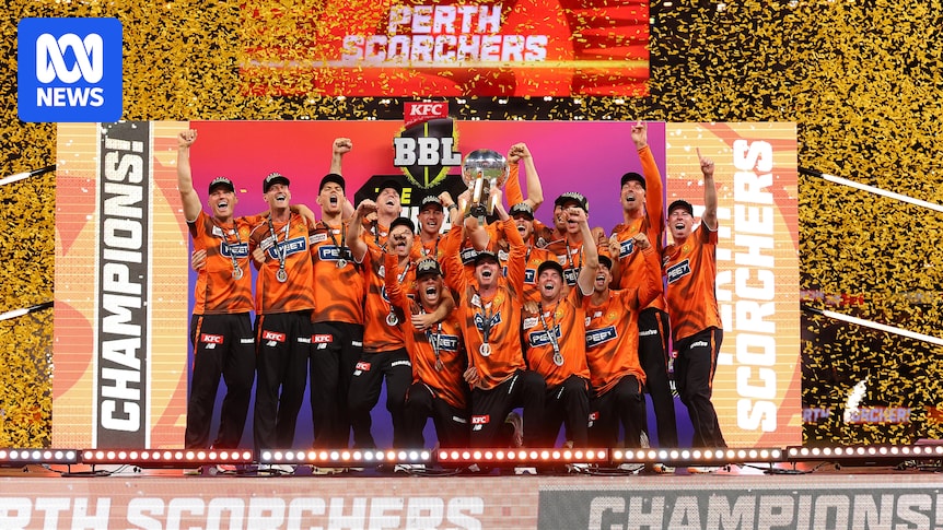 States to reveal if they support privatisation of Big Bash League clubs, with possible IPL part-ownership