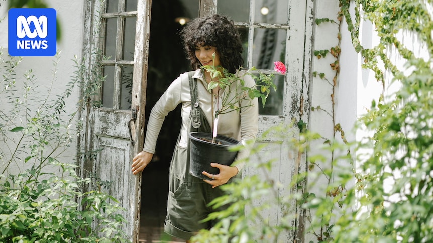 Why invasive plants can harm your garden and what you can grow instead