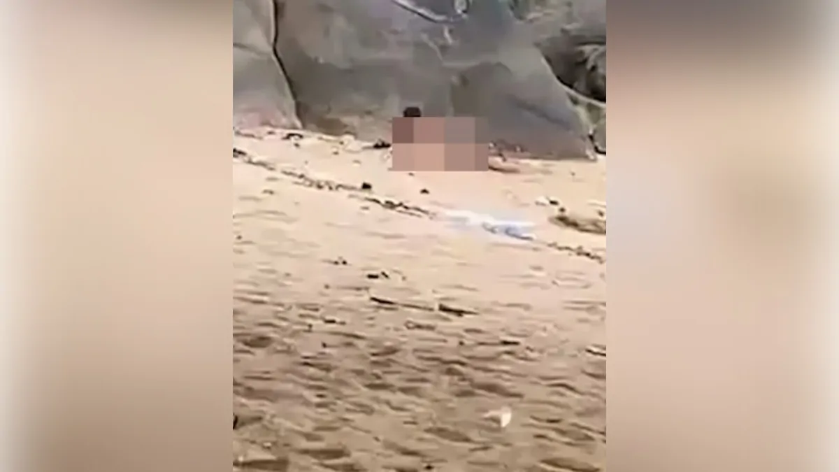 French tourists arrested in Thailand after being caught on film having sex at Phuket beach