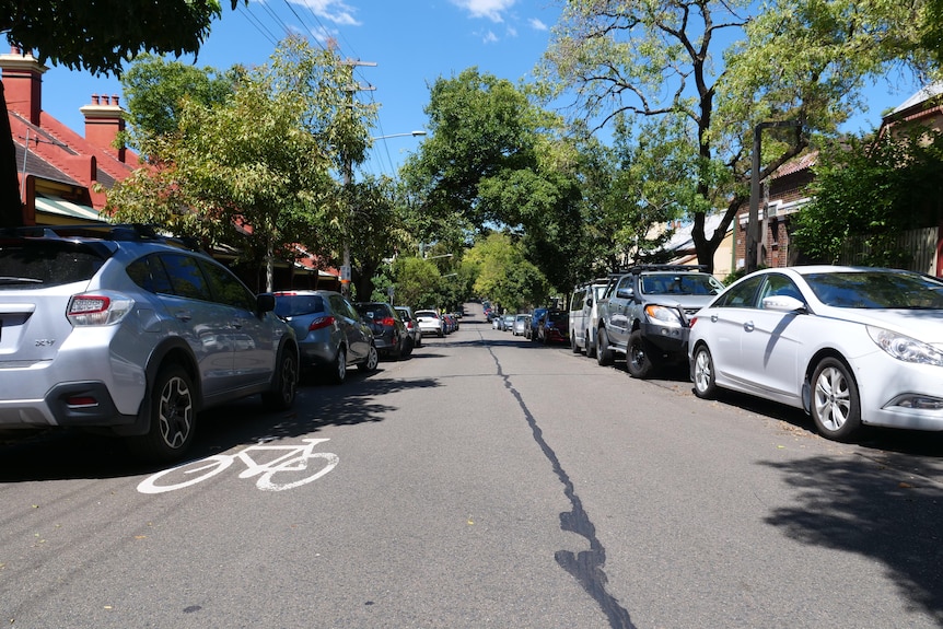 An empty leafy suburban street.