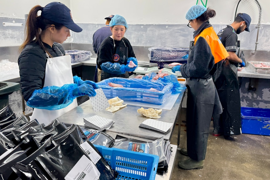 MUST USE FIELD describe image for blind audience